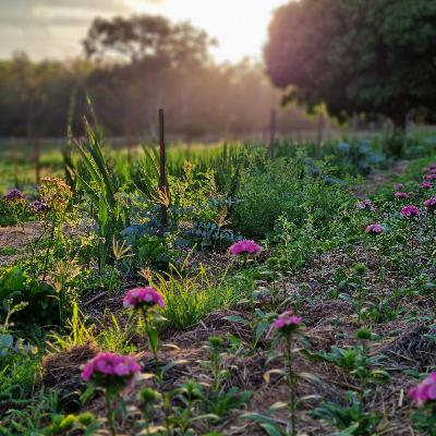 Spring Farming in the Sub Tropics