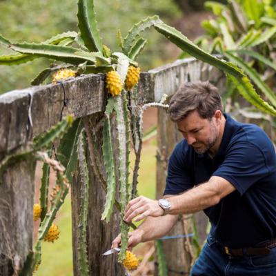 Ep 4. Tropical chats with TFW GM and all round legend Aymon Gow