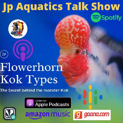 The Secret behind the Monster kok | FlowerHorn | The Secret behind the Monster kok | FlowerHorn |