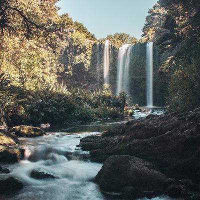 Week in review: Northland numbers stable as national numbers rise