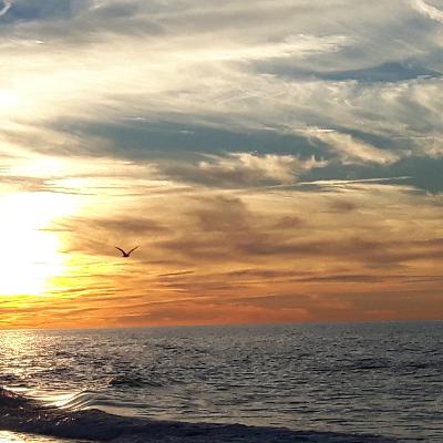 DROGI MIŁOSIERDZIA seria 2, czwartek DROGI MIŁOSIERDZIA seria 2, czwartek