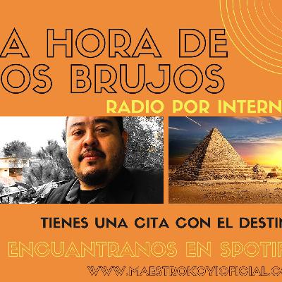 Ingredientes para lograr el exito magico.