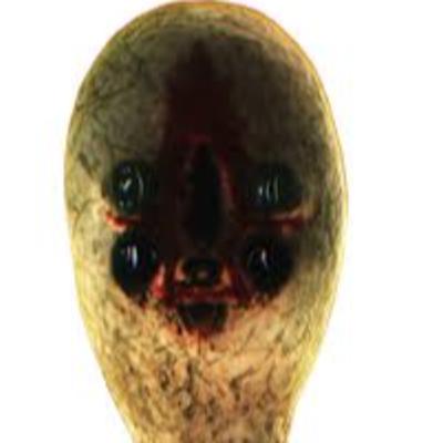 SCP 173 Breach SCP 173 Breach
