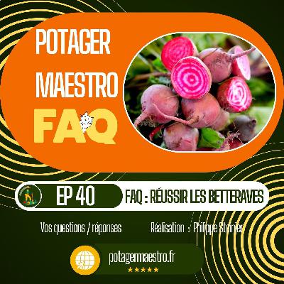 FAQ : 7 questions / réponses au sujet de votre culture de betteraves