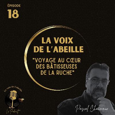 #18 - Voyage au cœur des bâtisseuses de la ruche