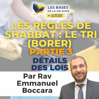Les règles de Shabbat : le tri (Borer) partie 3 Les règles de Shabbat : le tri (Borer) partie 3