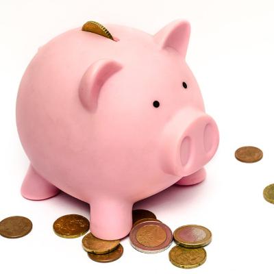 Financial Matters: Smart Shopping