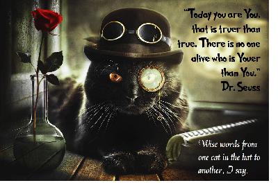 Teddy & The Bassman - Podcast Finale Teddy & The Bassman - Podcast Finale