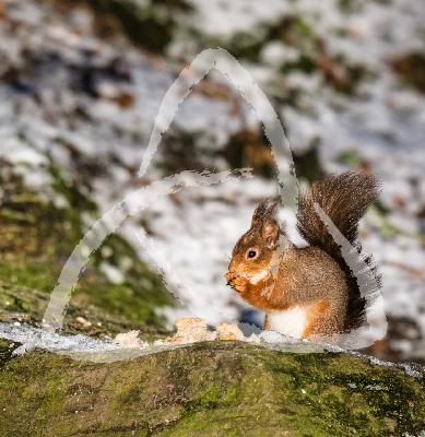 1 Thessalonians 5 19-22 - Be open to the Spirit