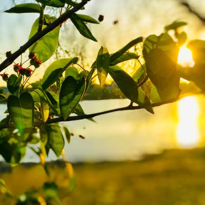 Surrender. Surrender.