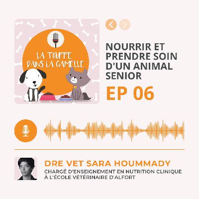 Nourrir et prendre soin d'un animal senior
