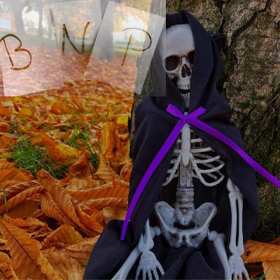 Episode 4: Avsnitt 28 Två snorungar i en sjukhusbädd