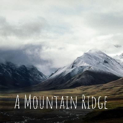 Work Life Balance Tips