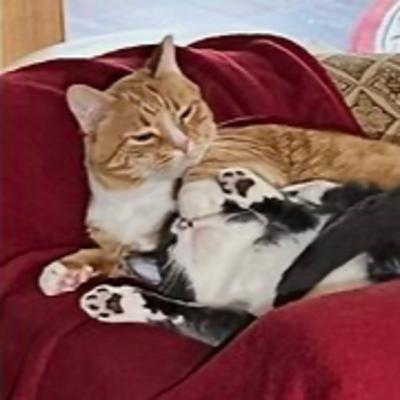 Episode 3020 CWSA 11/16/25