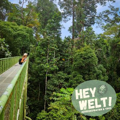 Hey Borneo! – Einzigartiges Wildlife in Malaysias Regenwäldern