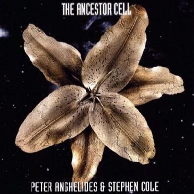 8.18 The Ancestor Cell