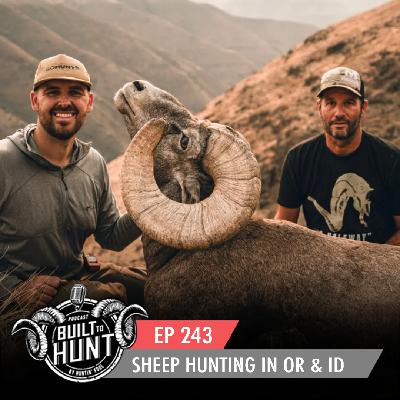 EP 243: Sheep Hunting in Oregon and Idaho with SMO