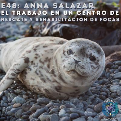 E48: Anna Salazar. El trabajo en un centro de rescate y rehabilitación de focas E48: Anna Salazar. El trabajo en un centro de rescate y rehabilitación de focas