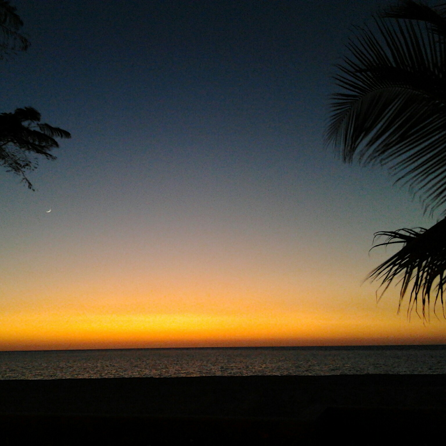 عقدة التضحية ١ من ٥