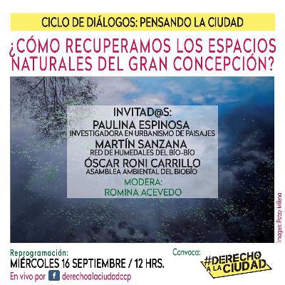 Derecho a la Ciudad / "Ciclo de diálogos: Pensando la ciudad" (16 Septiembre 2020)