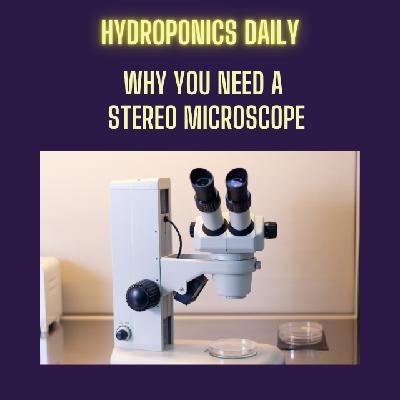 Stereo Microscopes - See Your Plants Like Never Before