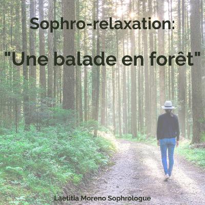 Une balade en forêt