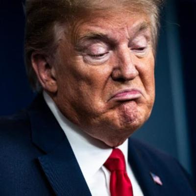 TRUMP PERDERA ?...