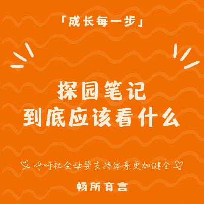 91 探园笔记2.0：孩子的第一个小社会，既要保有安全感，也要装得下好奇心