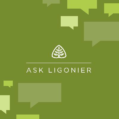 What Is a Good Starting Point for a New Convert? What Are the Basics?