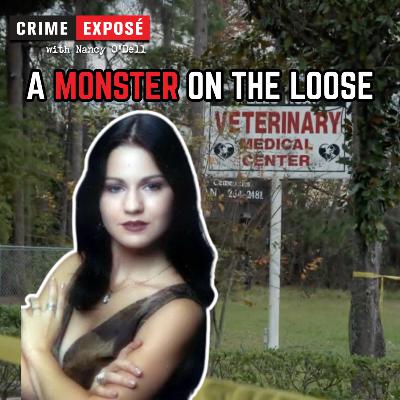 Cold Water, Cold Blood: The Murder of Andrea Boyer