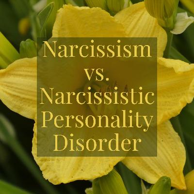Narcissism or Narcissistic Personality Disorder?