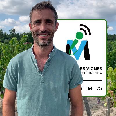 Côtes-de-Bourg I Château Moulin des Blais, Guillaume Guerin, Le Blanc Retrouvé (Extrait)