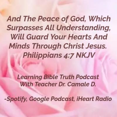 Replay:Search The Scriptures and Find Jesus