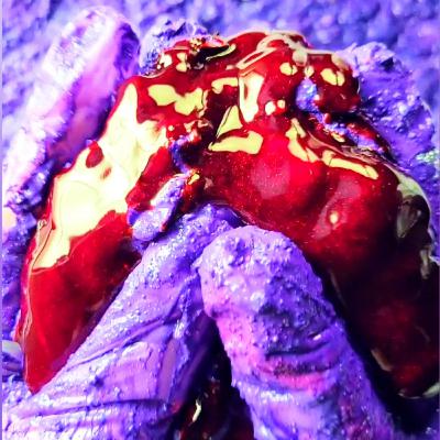 Reform with me 💜✨ Electric Purple Confetti Mix