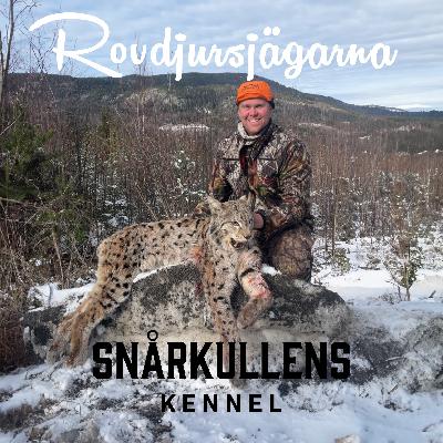 Jonas Södermark - Älg och Björnjakter