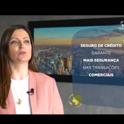 Para que serve o seguro de crédito?