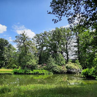 189: Kasteel Twickel: tuinen in romantiek (2)