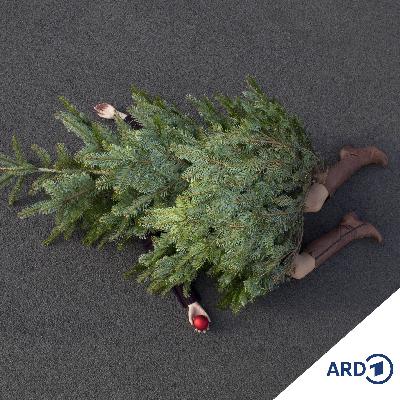 En Grinch to Wiehnachten En Grinch to Wiehnachten