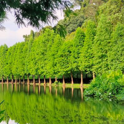 F17-1141118坤鐘校長高雄富國讀書會 活出奇蹟1