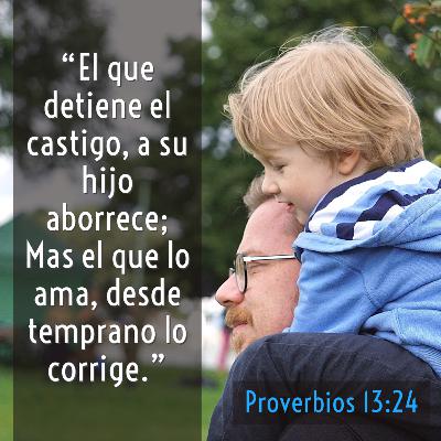 41 - Joyas de Sabiduría - No menosprecie la corrección a su Hijo [Proverbios 13:22-24]