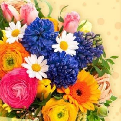 Materiales didácticos digitales.