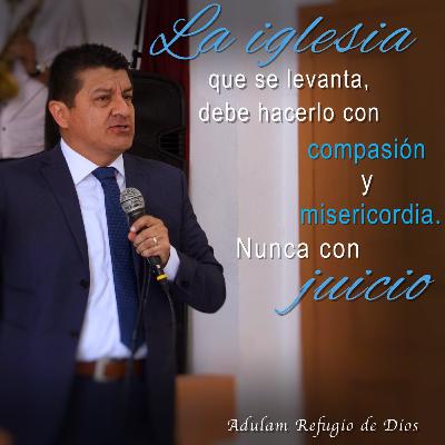 Episodio 12. El Buen Consejo Episodio 12. El Buen Consejo