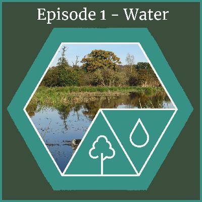 Agroforestry Through the Elements - Water