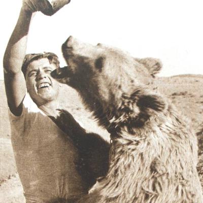 Niedźwiedź Wojtek. Żołnierz spod Monte Cassino Niedźwiedź Wojtek. Żołnierz spod Monte Cassino