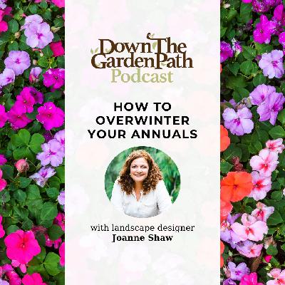 How to Overwinter Your Annuals How to Overwinter Your Annuals