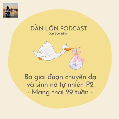 Dần mê hành trình ra đời tự nhiên kỳ diệu của em bé - Mang thai 29w Dần mê hành trình ra đời tự nhiên kỳ diệu của em bé - Mang thai 29w