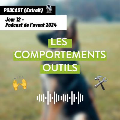 JOUR 12 - Les comportements outils : des bases essentielles pour une vie harmonieuse avec votre chien [Podcast de l'avent 🎄]