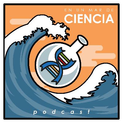 En un Mar de Ciencia - En un mar de divagaciones