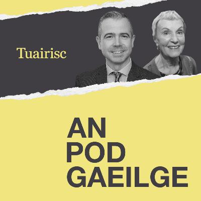 ‘Ní bheidh mé ábalta intinn polaiteoirí atá glan i gcoinne na teanga a athrú ach beidh mé ag iarraidh iad a thabhairt chun cuntais’ - An Coimisinéir Gaeilge