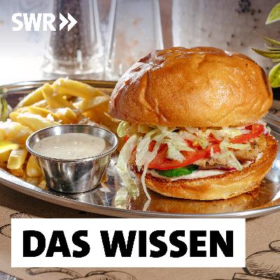 Wie krank macht Fast Food? – Hochverarbeitete Lebensmittel in der Kritik